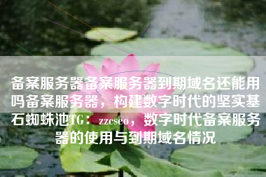 备案服务器备案服务器到期域名还能用吗备案服务器，构建数字时代的坚实基石蜘蛛池TG：zzcseo，数字时代备案服务器的使用与到期域名情况