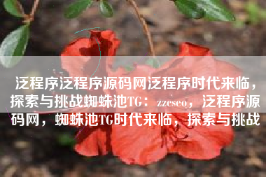 泛程序泛程序源码网泛程序时代来临，探索与挑战蜘蛛池TG：zzcseo，泛程序源码网，蜘蛛池TG时代来临，探索与挑战