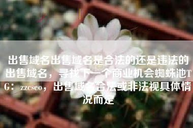 出售域名出售域名是合法的还是违法的出售域名，寻找下一个商业机会蜘蛛池TG：zzcseo，出售域名合法或非法视具体情况而定