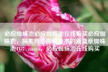 必应蜘蛛池必应蜘蛛池在线购买必应蜘蛛池，探索网络蜘蛛技术的新篇章蜘蛛池TG：zzcseo，必应蜘蛛池在线购买
