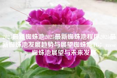 2025最新蜘蛛池2025最新蜘蛛池程序2025最新蜘蛛池发展趋势与展望蜘蛛池TG：zzcseo，蜘蛛池展望与未来发展