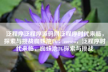 泛程序泛程序源码网泛程序时代来临，探索与挑战蜘蛛池TG：zzcseo，泛程序时代来临，蜘蛛池TG探索与挑战