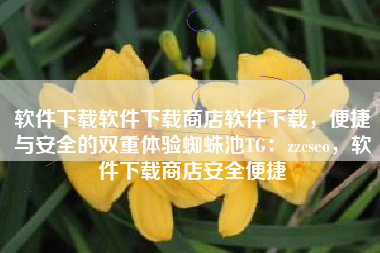 软件下载软件下载商店软件下载，便捷与安全的双重体验蜘蛛池TG：zzcseo，软件下载商店安全便捷
