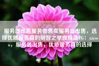 服务器出售服务器售卖服务器出售，选择优质服务商的明智之举蜘蛛池TG：zzcseo，服务器出售，优质服务商的选择