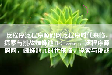 泛程序泛程序源码网泛程序时代来临，探索与挑战蜘蛛池TG：zzcseo，泛程序源码网，蜘蛛池TG时代来临，探索与挑战
