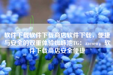 软件下载软件下载商店软件下载，便捷与安全的双重体验蜘蛛池TG：zzcseo，软件下载商店安全便捷