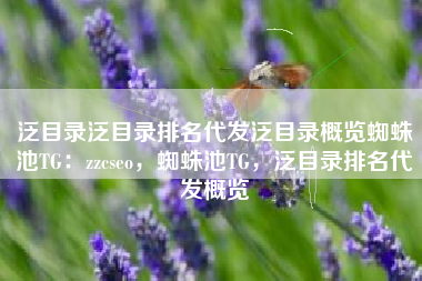 泛目录泛目录排名代发泛目录概览蜘蛛池TG：zzcseo，蜘蛛池TG，泛目录排名代发概览