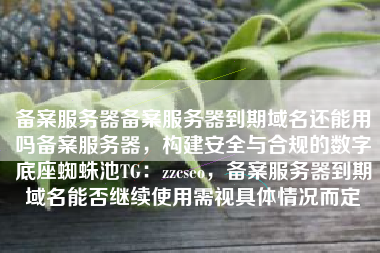 备案服务器备案服务器到期域名还能用吗备案服务器，构建安全与合规的数字底座蜘蛛池TG：zzcseo，备案服务器到期域名能否继续使用需视具体情况而定