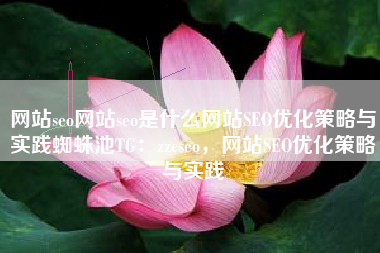 网站seo网站seo是什么网站SEO优化策略与实践蜘蛛池TG：zzcseo，网站SEO优化策略与实践