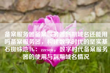 备案服务器备案服务器到期域名还能用吗备案服务器，构建数字时代的坚实基石蜘蛛池TG：zzcseo，数字时代备案服务器的使用与到期域名情况