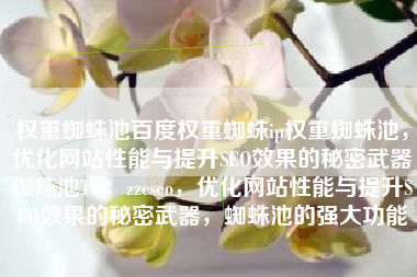 权重蜘蛛池百度权重蜘蛛ip权重蜘蛛池，优化网站性能与提升SEO效果的秘密武器蜘蛛池TG：zzcseo，优化网站性能与提升SEO效果的秘密武器，蜘蛛池的强大功能