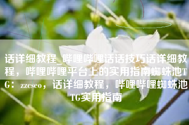 话详细教程_哔哩哔哩话话技巧话详细教程，哔哩哔哩平台上的实用指南蜘蛛池TG：zzcseo，话详细教程，哔哩哔哩蜘蛛池TG实用指南