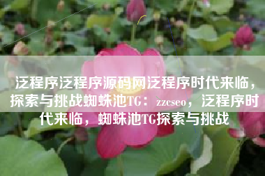 泛程序泛程序源码网泛程序时代来临，探索与挑战蜘蛛池TG：zzcseo，泛程序时代来临，蜘蛛池TG探索与挑战