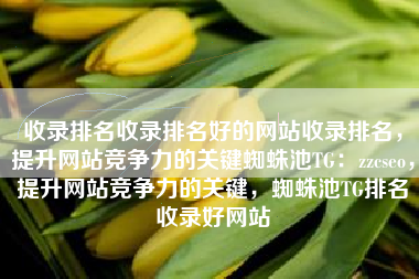 收录排名收录排名好的网站收录排名，提升网站竞争力的关键蜘蛛池TG：zzcseo，提升网站竞争力的关键，蜘蛛池TG排名收录好网站