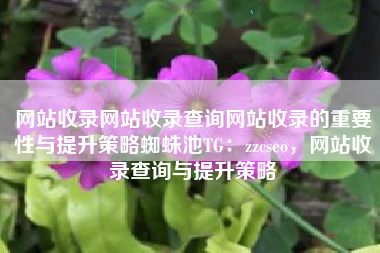 网站收录网站收录查询网站收录的重要性与提升策略蜘蛛池TG：zzcseo，网站收录查询与提升策略