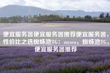 便宜服务器便宜服务器推荐便宜服务器，性价比之选蜘蛛池TG：zzcseo，蜘蛛池TG，便宜服务器推荐