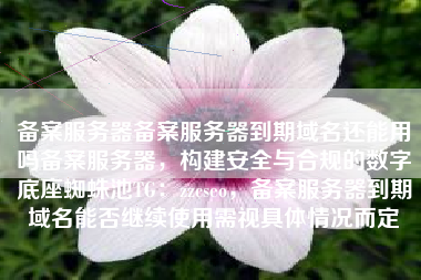 备案服务器备案服务器到期域名还能用吗备案服务器，构建安全与合规的数字底座蜘蛛池TG：zzcseo，备案服务器到期域名能否继续使用需视具体情况而定