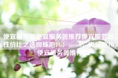 便宜服务器便宜服务器推荐便宜服务器，性价比之选蜘蛛池TG：zzcseo，蜘蛛池TG，便宜服务器推荐