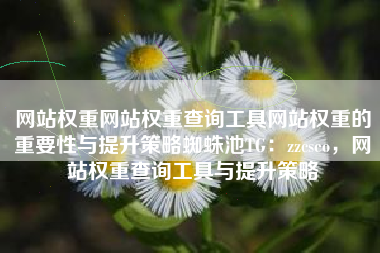 网站权重网站权重查询工具网站权重的重要性与提升策略蜘蛛池TG：zzcseo，网站权重查询工具与提升策略