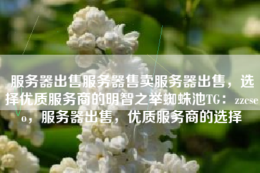 服务器出售服务器售卖服务器出售，选择优质服务商的明智之举蜘蛛池TG：zzcseo，服务器出售，优质服务商的选择