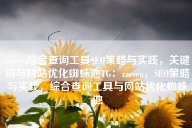 seoseo综合查询工具SEO策略与实践，关键词与网站优化蜘蛛池TG：zzcseo，SEO策略与实践，综合查询工具与网站优化蜘蛛池