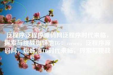 泛程序泛程序源码网泛程序时代来临，探索与挑战蜘蛛池TG：zzcseo，泛程序源码网，蜘蛛池TG时代来临，探索与挑战