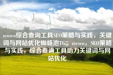 seoseo综合查询工具SEO策略与实践，关键词与网站优化蜘蛛池TG：zzcseo，SEO策略与实践，综合查询工具助力关键词与网站优化