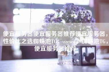 便宜服务器便宜服务器推荐便宜服务器，性价比之选蜘蛛池TG：zzcseo，蜘蛛池TG，便宜服务器推荐