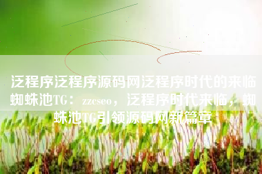 泛程序泛程序源码网泛程序时代的来临蜘蛛池TG：zzcseo，泛程序时代来临，蜘蛛池TG引领源码网新篇章