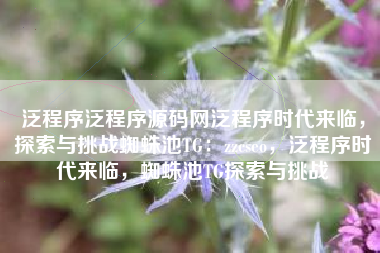 泛程序泛程序源码网泛程序时代来临，探索与挑战蜘蛛池TG：zzcseo，泛程序时代来临，蜘蛛池TG探索与挑战