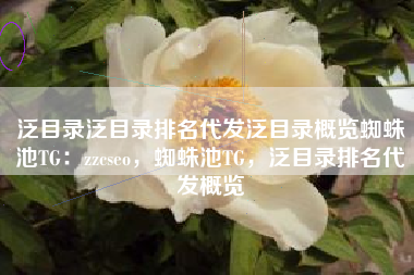 泛目录泛目录排名代发泛目录概览蜘蛛池TG：zzcseo，蜘蛛池TG，泛目录排名代发概览