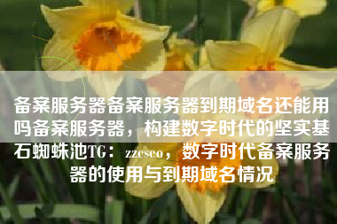 备案服务器备案服务器到期域名还能用吗备案服务器，构建数字时代的坚实基石蜘蛛池TG：zzcseo，数字时代备案服务器的使用与到期域名情况