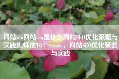 网站seo网站seo是什么网站SEO优化策略与实践蜘蛛池TG：zzcseo，网站SEO优化策略与实践