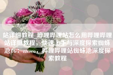 站详细教程_哔哩哔哩站怎么用哔哩哔哩站详细教程，快速上手与深度探索蜘蛛池TG：zzcseo，哔哩哔哩站蜘蛛池深度探索教程