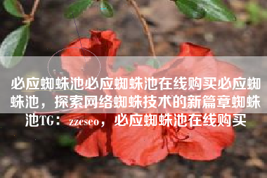 必应蜘蛛池必应蜘蛛池在线购买必应蜘蛛池，探索网络蜘蛛技术的新篇章蜘蛛池TG：zzcseo，必应蜘蛛池在线购买