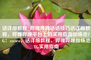 话详细教程_哔哩哔哩话话技巧话详细教程，哔哩哔哩平台上的实用指南蜘蛛池TG：zzcseo，话详细教程，哔哩哔哩蜘蛛池TG实用指南