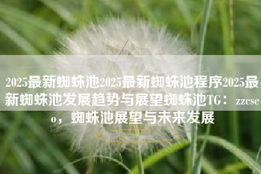 2025最新蜘蛛池2025最新蜘蛛池程序2025最新蜘蛛池发展趋势与展望蜘蛛池TG：zzcseo，蜘蛛池展望与未来发展