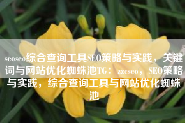 seoseo综合查询工具SEO策略与实践，关键词与网站优化蜘蛛池TG：zzcseo，SEO策略与实践，综合查询工具与网站优化蜘蛛池