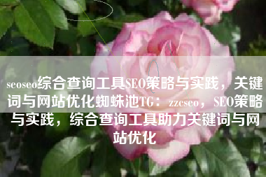 seoseo综合查询工具SEO策略与实践，关键词与网站优化蜘蛛池TG：zzcseo，SEO策略与实践，综合查询工具助力关键词与网站优化