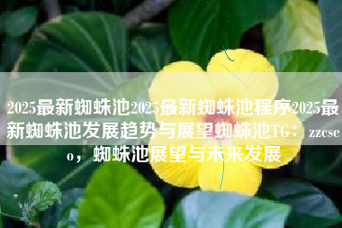 2025最新蜘蛛池2025最新蜘蛛池程序2025最新蜘蛛池发展趋势与展望蜘蛛池TG：zzcseo，蜘蛛池展望与未来发展