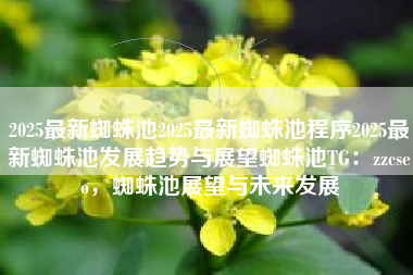 2025最新蜘蛛池2025最新蜘蛛池程序2025最新蜘蛛池发展趋势与展望蜘蛛池TG：zzcseo，蜘蛛池展望与未来发展