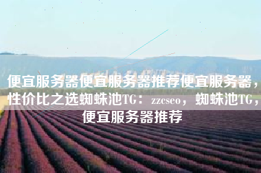 便宜服务器便宜服务器推荐便宜服务器，性价比之选蜘蛛池TG：zzcseo，蜘蛛池TG，便宜服务器推荐