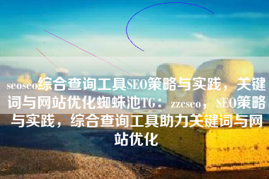 seoseo综合查询工具SEO策略与实践，关键词与网站优化蜘蛛池TG：zzcseo，SEO策略与实践，综合查询工具助力关键词与网站优化