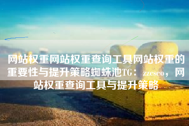 网站权重网站权重查询工具网站权重的重要性与提升策略蜘蛛池TG：zzcseo，网站权重查询工具与提升策略