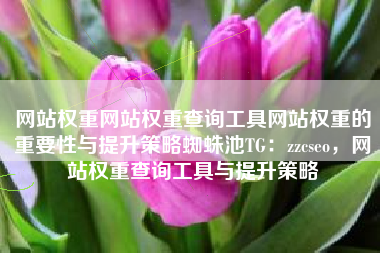 网站权重网站权重查询工具网站权重的重要性与提升策略蜘蛛池TG：zzcseo，网站权重查询工具与提升策略