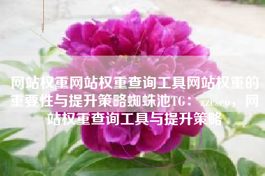网站权重网站权重查询工具网站权重的重要性与提升策略蜘蛛池TG：zzcseo，网站权重查询工具与提升策略