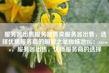 服务器出售服务器售卖服务器出售，选择优质服务商的明智之举蜘蛛池TG：zzcseo，服务器出售，优质服务商的选择