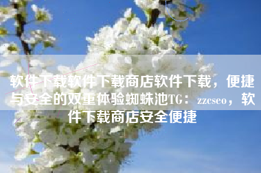 软件下载软件下载商店软件下载，便捷与安全的双重体验蜘蛛池TG：zzcseo，软件下载商店安全便捷