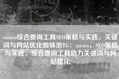 seoseo综合查询工具SEO策略与实践，关键词与网站优化蜘蛛池TG：zzcseo，SEO策略与实践，综合查询工具助力关键词与网站优化