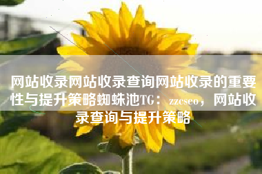网站收录网站收录查询网站收录的重要性与提升策略蜘蛛池TG：zzcseo，网站收录查询与提升策略